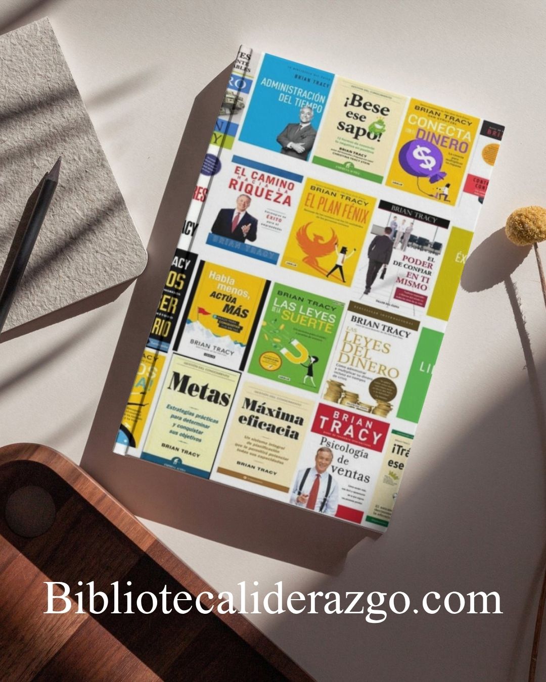 🥇 Biblioteca Digital del Éxito